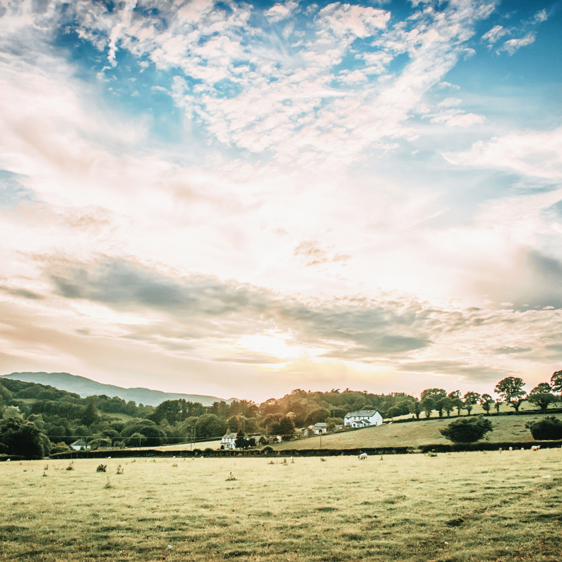 Regenerative Farming: Luxury Skincare Begins at the Source